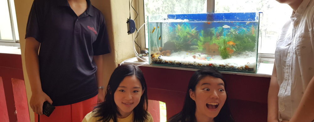 JAPANESE STUDENTS GIVEN HANDS ON TRAINING IN AQUARIUM SETTING