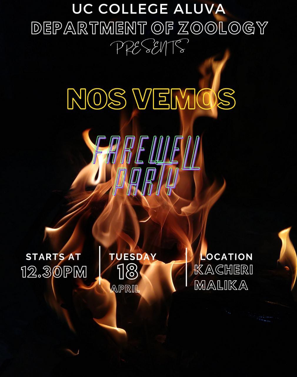 NOS VEMOS- Farewell Party