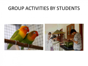 GROUP ACTIVITIES BY STUDENTS OF THE DEPARTMENT OF ZOOLOGY TO ENHANCE LOVE AND LEARNING ABOUT ANIMALS