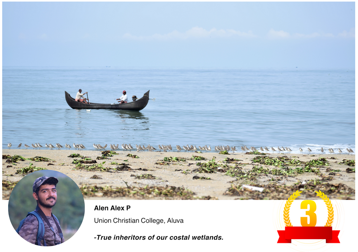 Alen Alex P won 3rd prize in Wetland photography contest