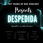 DESPEDIDA- Farewell Party for TY students